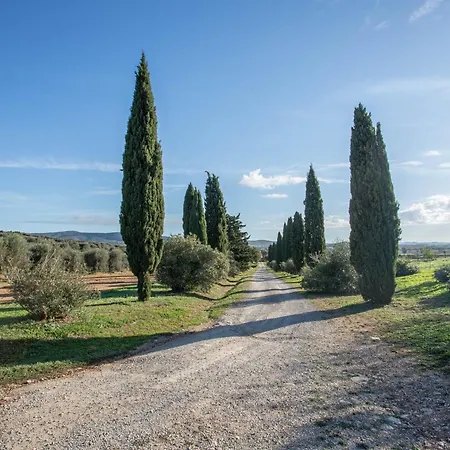 Angela - La Valentina