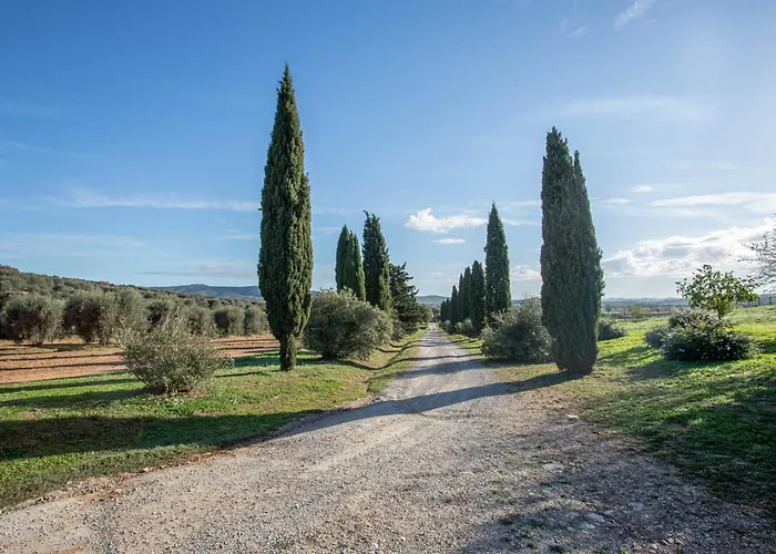 Angela - La Valentina